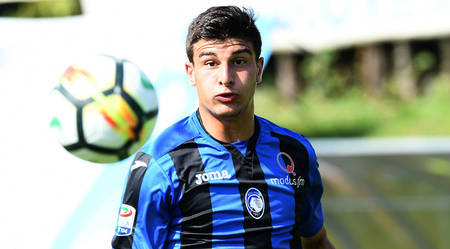 态与发展阶 态与发展阶