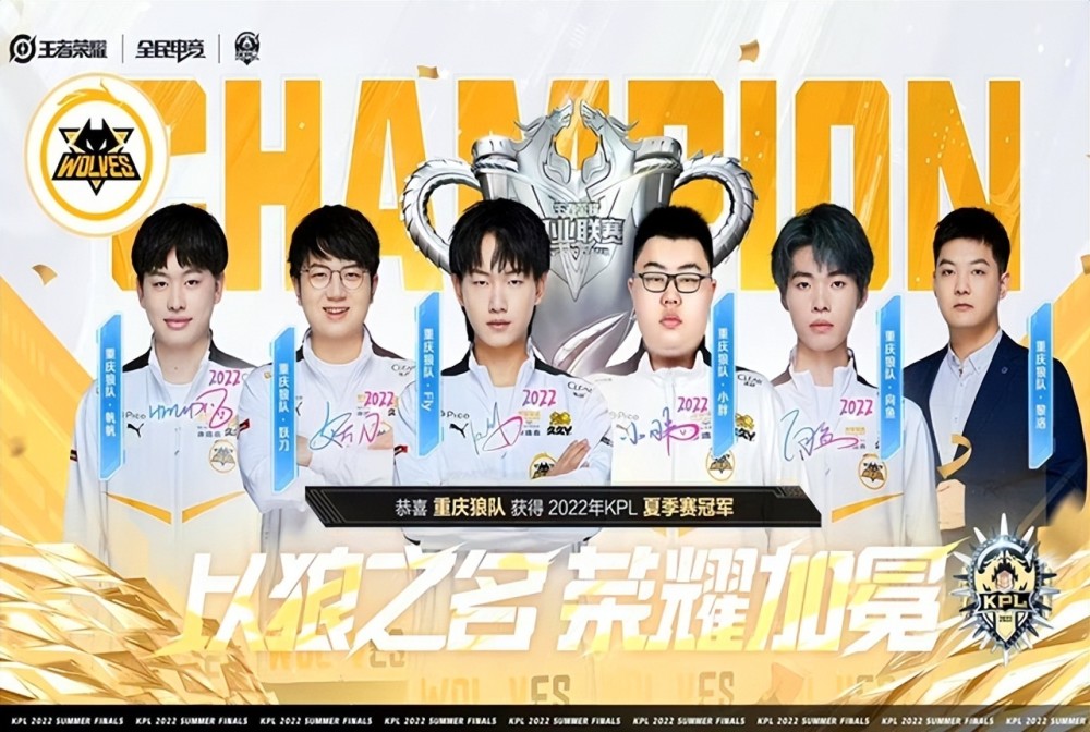 公开同伴系 公开同伴系